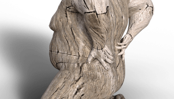 Bolesti chrbta a pomoc fyzioterapeuta - Rehabilica